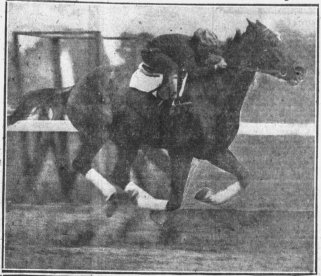 Press_and_Sun_Bulletin_Wed__Sep_1__1920_